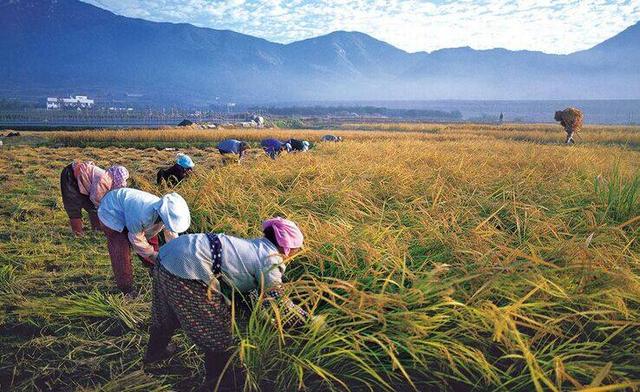 ���װ�ȫ�¼��l�����������ҵ�ˮ���s��ȫ����Դ����Դ�^�ѿ�Ʒ�|(zh��)