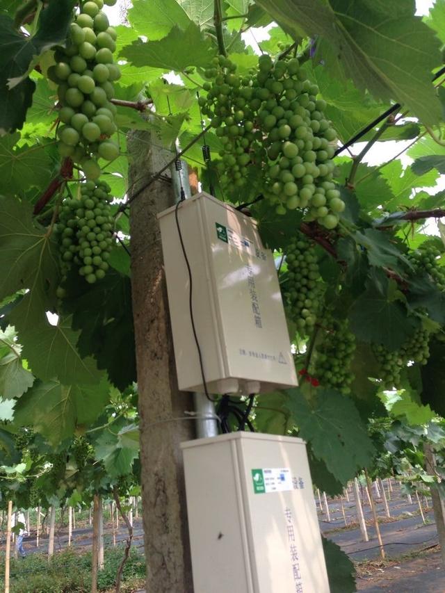 �ďU���ķ�֮�������ш@����Ҳ�ܞ���I(y��)���^����(y��ng)��(y��u)�|(zh��)���(y��ng)��õ��