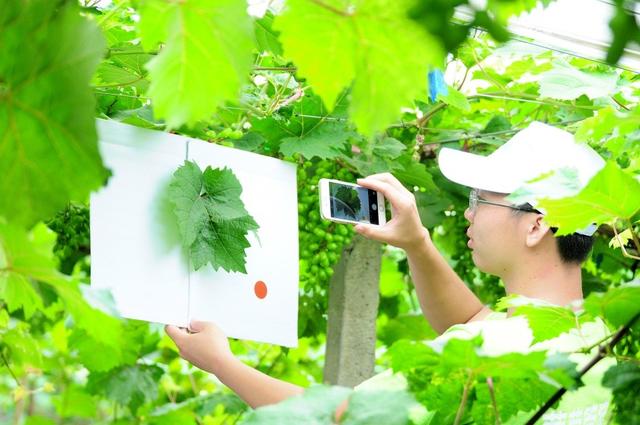 �ďU���ķ�֮�������ш@����Ҳ�ܞ���I(y��)���^����(y��ng)��(y��u)�|(zh��)���(y��ng)��õ��