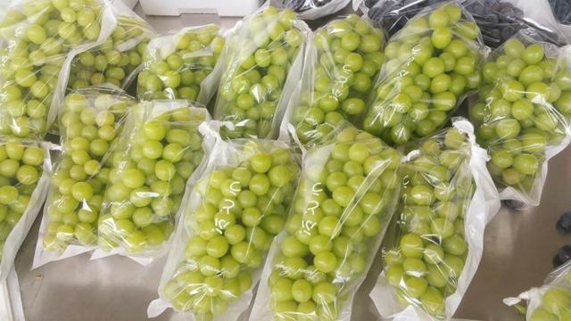 �ďU���ķ�֮�������ш@����Ҳ�ܞ���I(y��)���^����(y��ng)��(y��u)�|(zh��)���(y��ng)��õ��