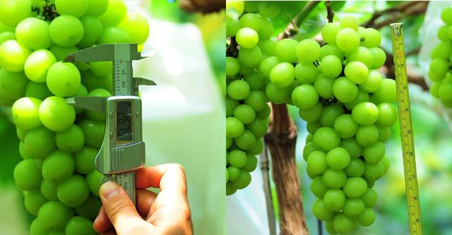 �ďU���ķ�֮�������ш@����Ҳ�ܞ���I(y��)���^����(y��ng)��(y��u)�|(zh��)���(y��ng)��õ��