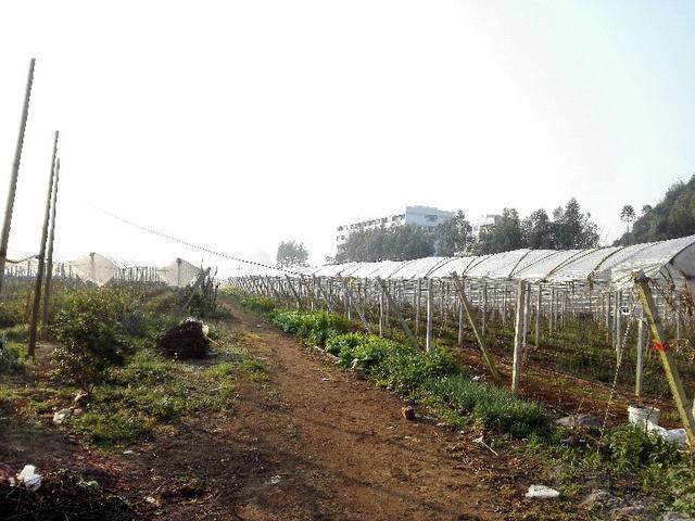 �ďU���ķ�֮�������ш@����Ҳ�ܞ���I(y��)���^����(y��ng)��(y��u)�|(zh��)���(y��ng)��õ��