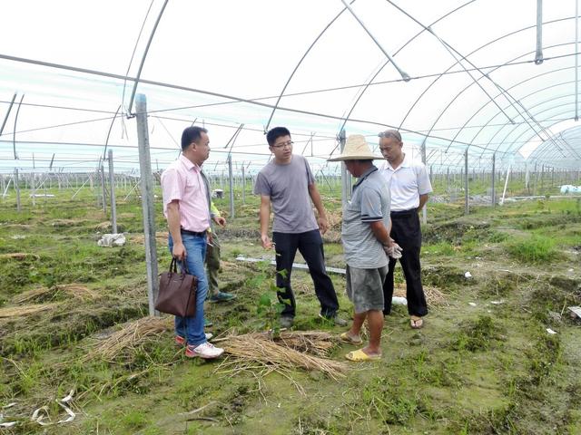 �ďU���ķ�֮�������ш@����Ҳ�ܞ���I(y��)���^����(y��ng)��(y��u)�|(zh��)���(y��ng)��õ��