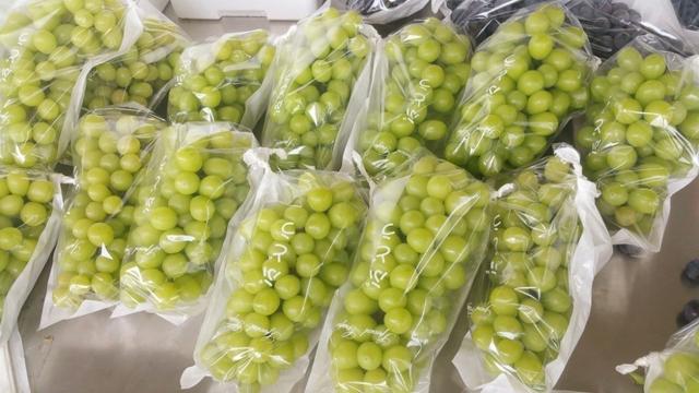 ���C(j��)���������Y���r(n��ng)���T�����ѹܼҞ��九(ji��)�s����(w��)�M(f��i)��15�f(w��n)