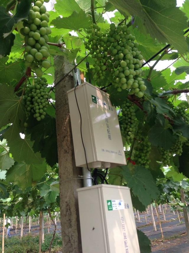 ���C(j��)���������Y���r(n��ng)���T�����ѹܼҞ��九(ji��)�s����(w��)�M(f��i)��15�f(w��n)