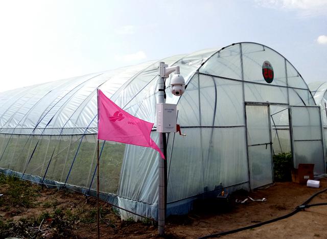 �Ї����W(w��ng)�y���읙�������_���R����N�����ܷNֲ