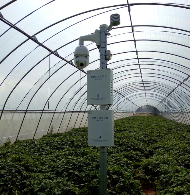 �Ї����W(w��ng)�y���읙�������_���R����N�����ܷNֲ