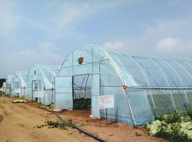 �Ї����W(w��ng)�y���읙�������_���R����N�����ܷNֲ