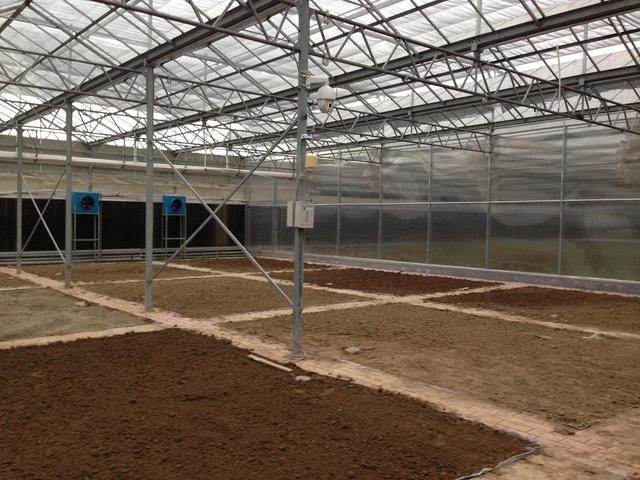 ��ע�ڿ��е��A�����Ƽ���Ҳ���������ܱO(ji��n)�؎����ľ���(zh��n)�c��Ч