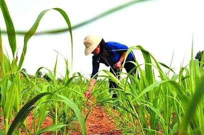 ��ע�ڿ��е��A�����Ƽ���Ҳ���������ܱO(ji��n)�؎����ľ���(zh��n)�c��Ч