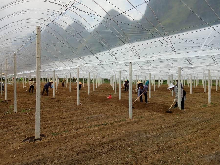 �����a(ch��n)�I(y��)��ؚʾ���������ǻ��r(n��ng)�I(y��)��(bi��o)��(zh��n)�����a(ch��n)