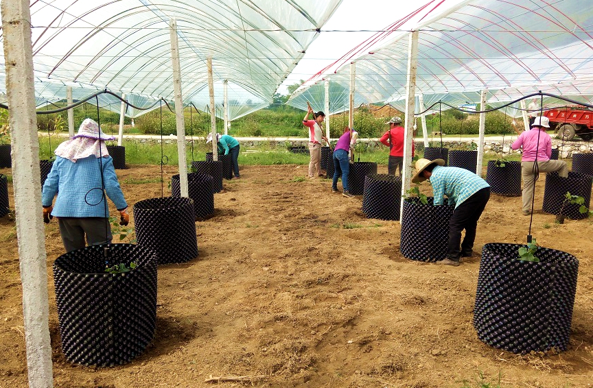 �����a(ch��n)�I(y��)��ؚʾ���������ǻ��r(n��ng)�I(y��)��(bi��o)��(zh��n)�����a(ch��n)