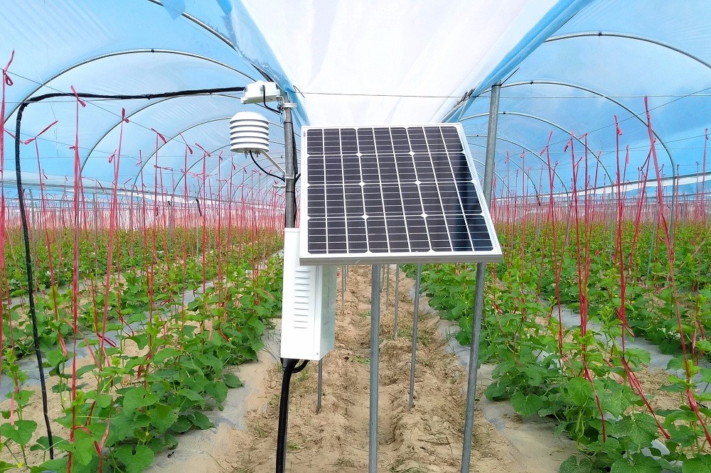 �ǻ��r(n��ng)�I(y��)���ֺ��ϣ��ǹ��Ƽ���ͨ�a(ch��n)�c�N(xi��o)