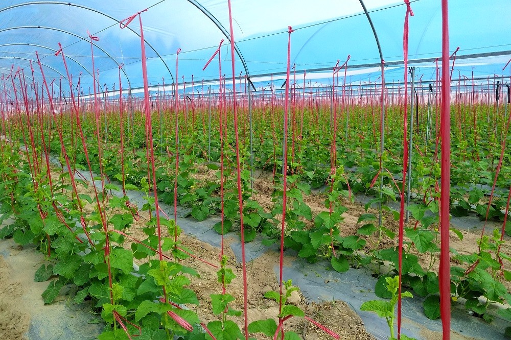 �ǻ��r(n��ng)�I(y��)���ֺ������ǹ��Ƽ���ͨ�a(ch��n)�c�N(xi��o)