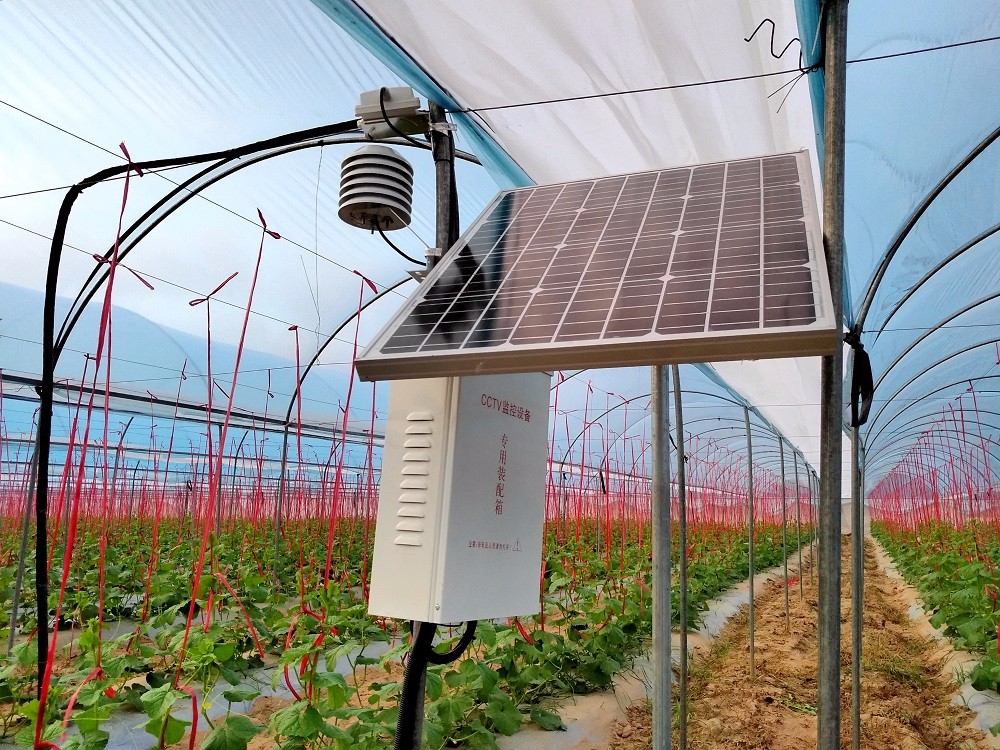 �ǻ��r(n��ng)�I(y��)���ֺ������ǹ��Ƽ���ͨ�a(ch��n)�c�N(xi��o)