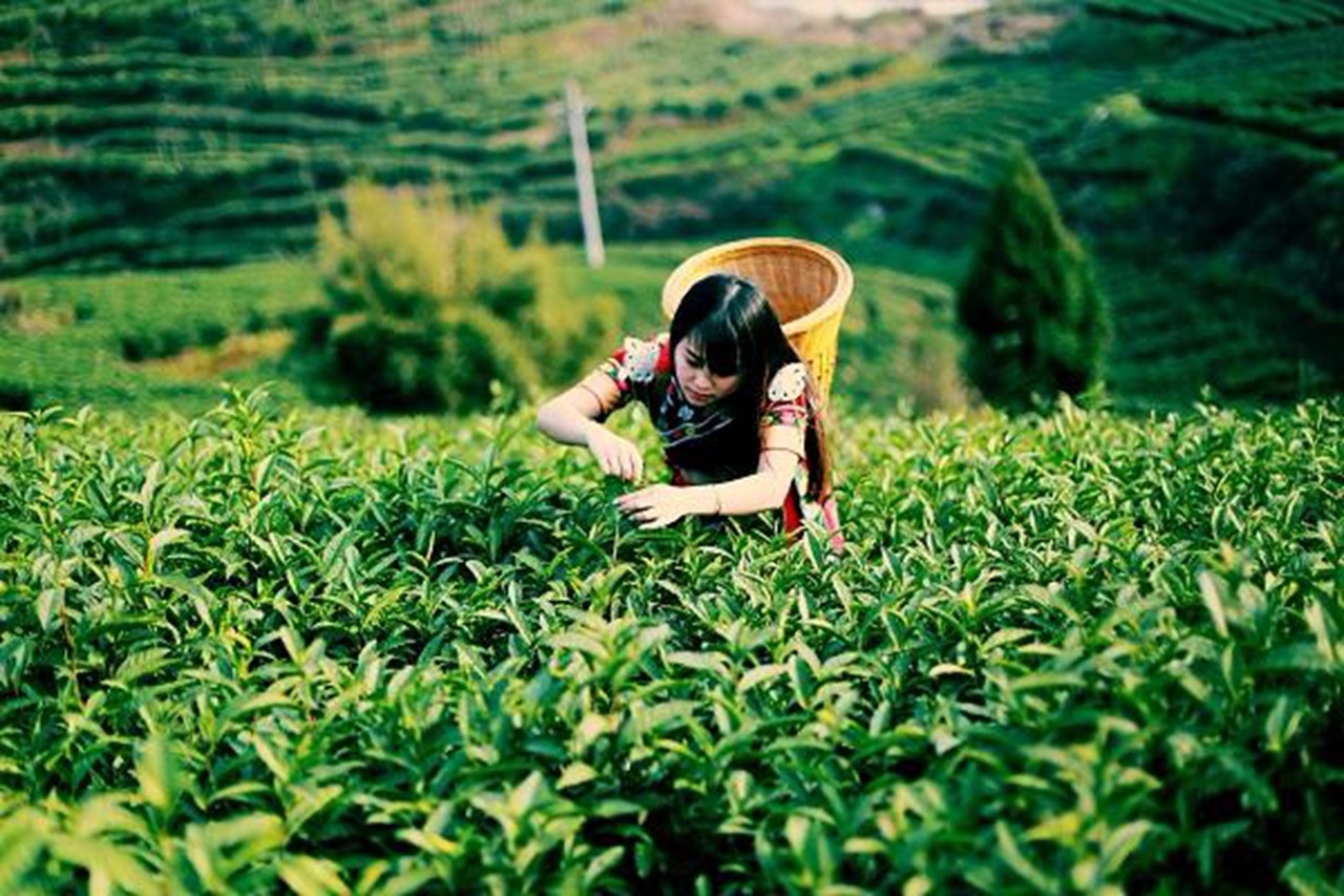 �ǻ��r(n��ng)�I(y��)�����������������F(xi��n)����(zh��n)Óؚ