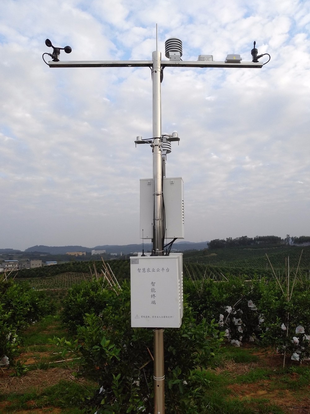 �V���ָ������ǻ��r(n��ng)�I(y��)��������(x��)Ʒ��