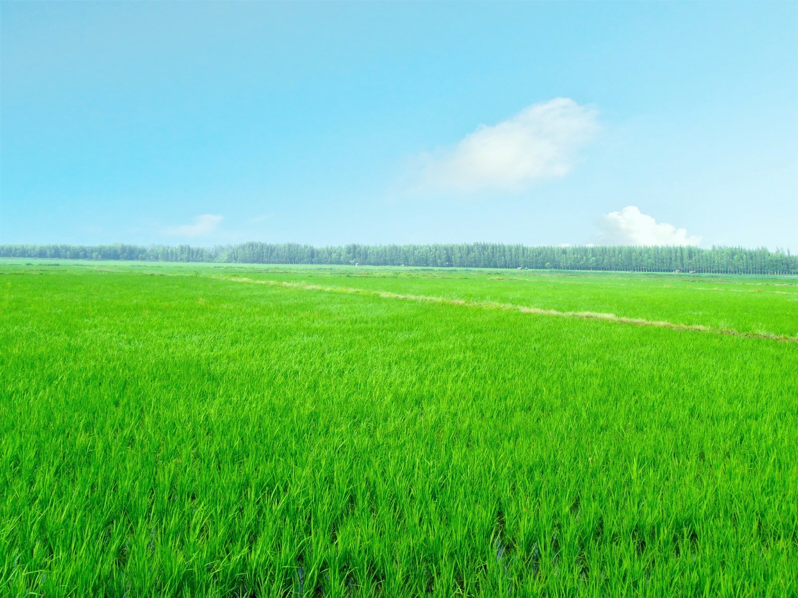 �Gˮ��ɽ���ǽ�ɽ�yɽ�����ǻ��r(n��ng)�I(y��)�������r(n��ng)�I(y��)��(li��n)�W(w��ng)���������B(t��i)�r(n��ng)�I(y��)�����o�W(w��ng)