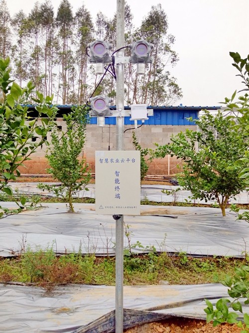 �Gˮ��ɽ���ǽ�ɽ�yɽ�����ǻ��r(n��ng)�I(y��)�������r(n��ng)�I(y��)��(li��n)�W(w��ng)���������B(t��i)�r(n��ng)�I(y��)�����o�W(w��ng)