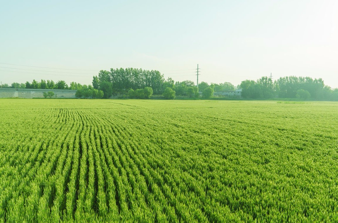 ���vʷ�ӛ�Ŀ��y���S���^(q��)����������ǻ��r(n��ng)�I(y��)�Ŀ�܇���ɞ�һ������