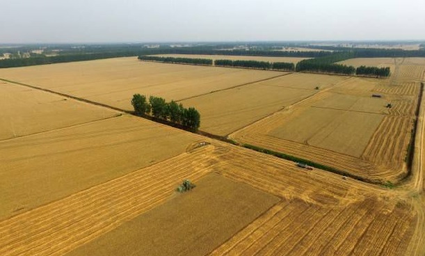 ���vʷ�ӛ�Ŀ��y���S���^(q��)����������ǻ��r(n��ng)�I(y��)�Ŀ�܇���ɞ�һ������