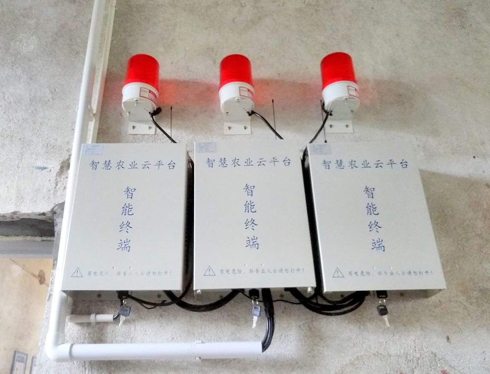 ���vʷ�ӛ�Ŀ��y���S���^(q��)����������ǻ��r(n��ng)�I(y��)�Ŀ�܇���ɞ�һ������