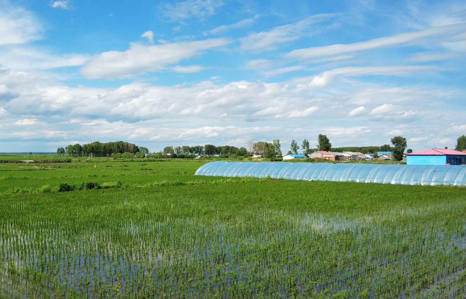 ������ˮ�ƿƼ������ǻ��r(n��ng)�I(y��)���g(sh��)���M(j��n)�����a(ch��n)ʾ��