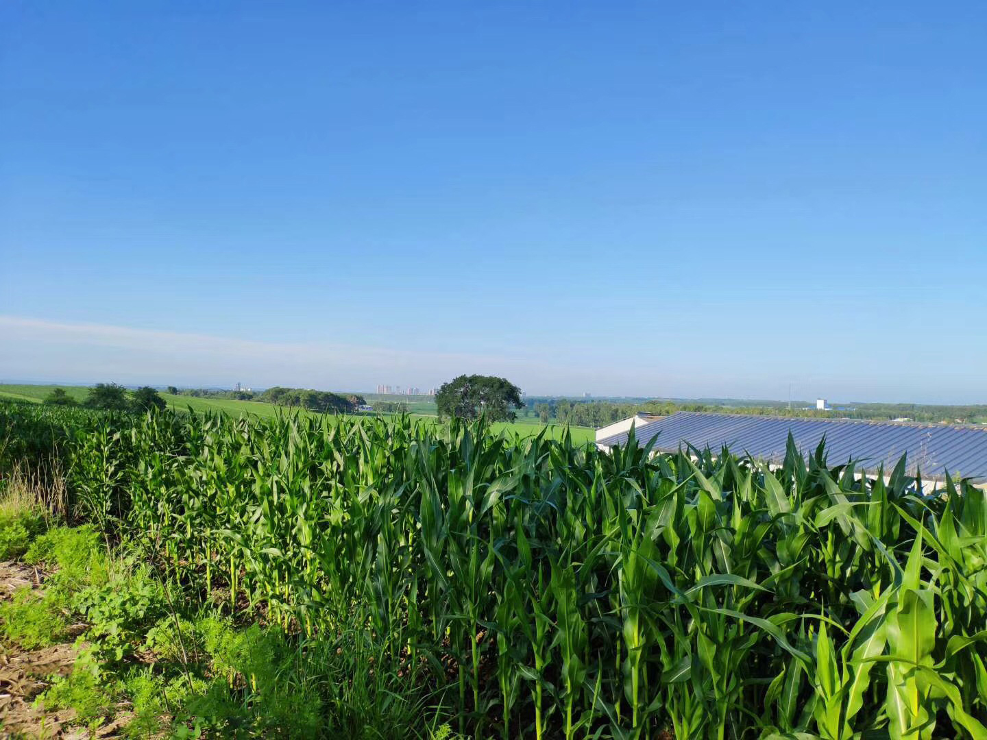 ������ˮ�ƿƼ������ǻ��r(n��ng)�I(y��)���g(sh��)���M(j��n)�����a(ch��n)ʾ��