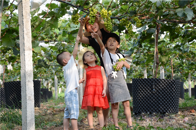 �읙�������ѹܼҷ�ؚʾ�����ء����|�m�hɽ�^(q��)ꖹ�õ�����ш@��һ���������ժ��