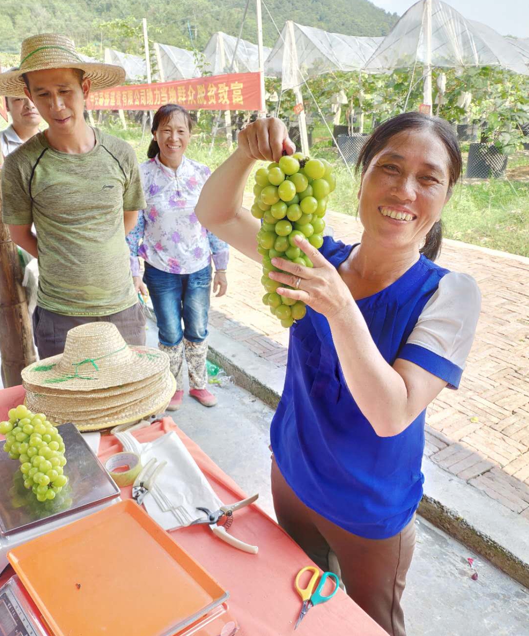 �읙�������ѹܼҷ�ؚʾ�����ء����|�m�hɽ�^(q��)ꖹ�õ�����ш@��һ���������ժ��