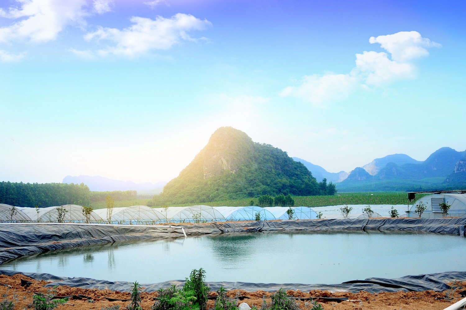 �읙�������a(ch��n)��(sh��)�(y��n)���؏ķN���N����Ʒ�|(zh��)ꖹ�õ���ϼ�����̳�