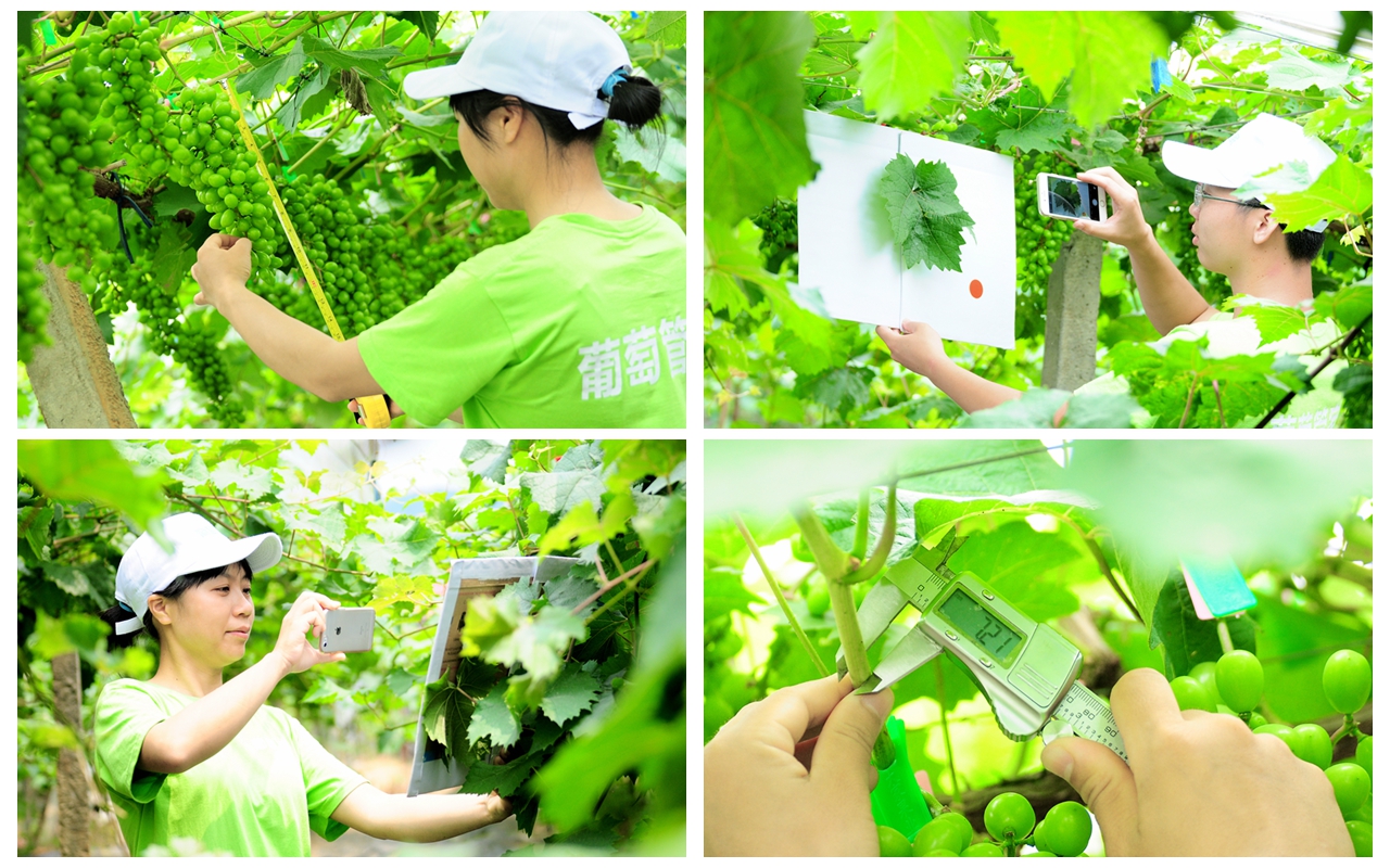 �읙�������a(ch��n)��(sh��)�(y��n)���؏ķN���N����Ʒ�|(zh��)ꖹ�õ���ϼ�����̳�