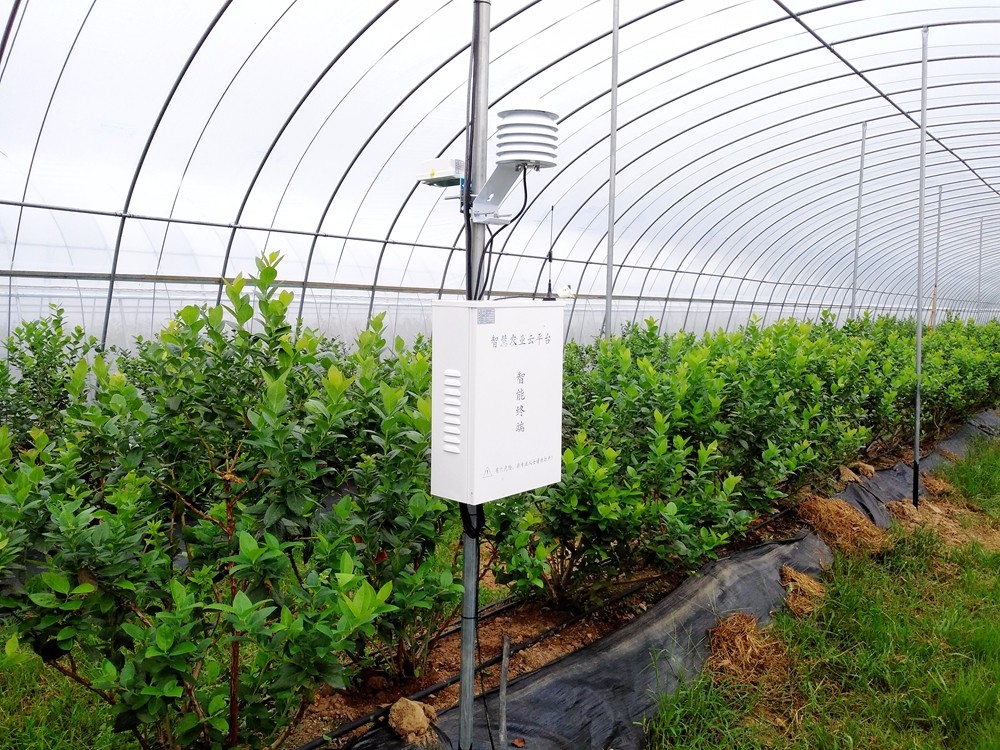 2017.08 ������(chu��ng)���(xi��ng)Ŀ-�C�ɻ���