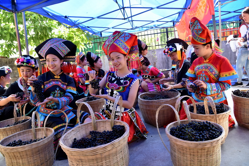 �V�����������r(n��ng)�a(ch��n)Ʒ��Դ���_�N��ͨ·��Ұ��ɽ�����߳���ɽ