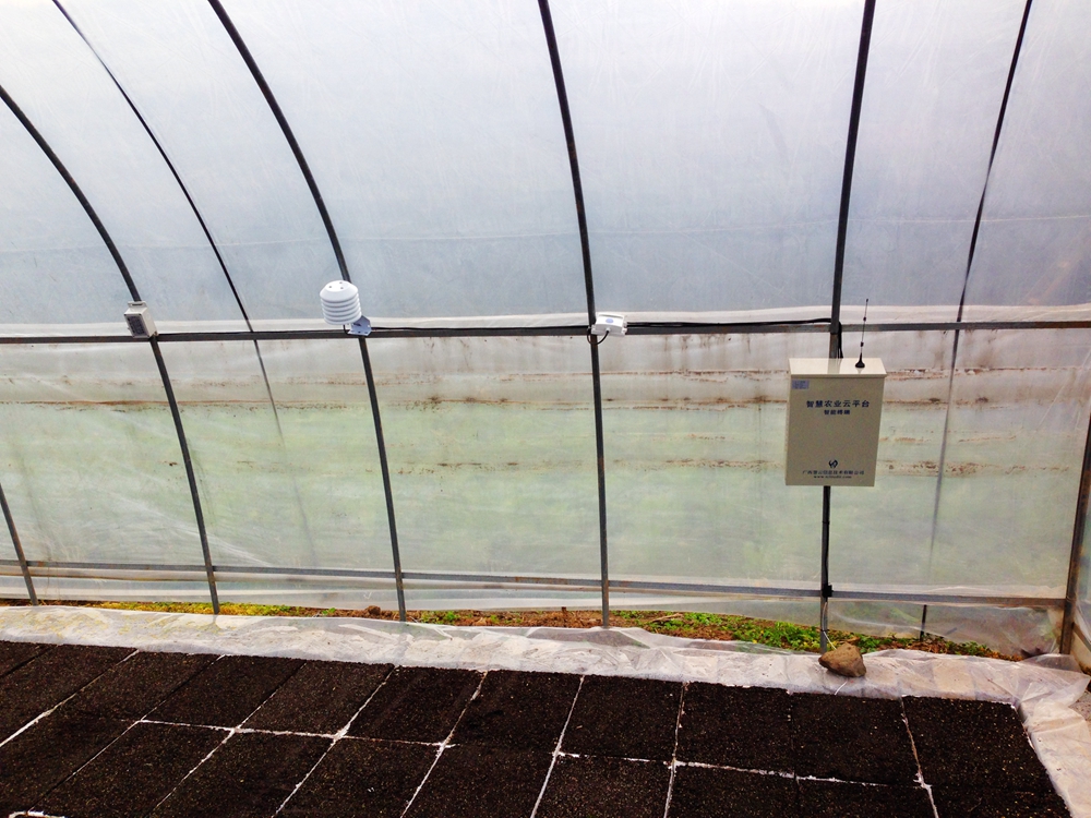 �ƶ�̖(h��o)��(sh��)��(j��)ƽ�_(t��i) ���x�r���(zh��n)