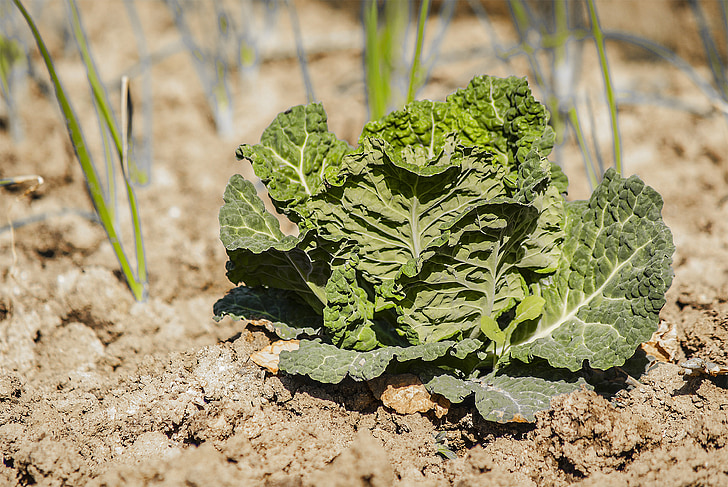 ������l(xi��ng)�R�݇�(y��n)�����a(ch��n)�������_(k��i)չ��(bi��o)��(zh��n)���Nֲ