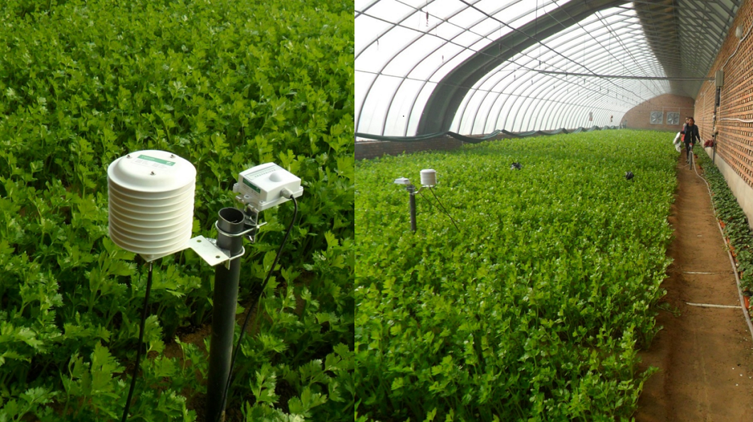 ���C��Ҵ�F(xi��n)���r(n��ng)�I(y��)ʾ���@���_���ǻ��r(n��ng)�I(y��)�˜ʻ��Nֲ