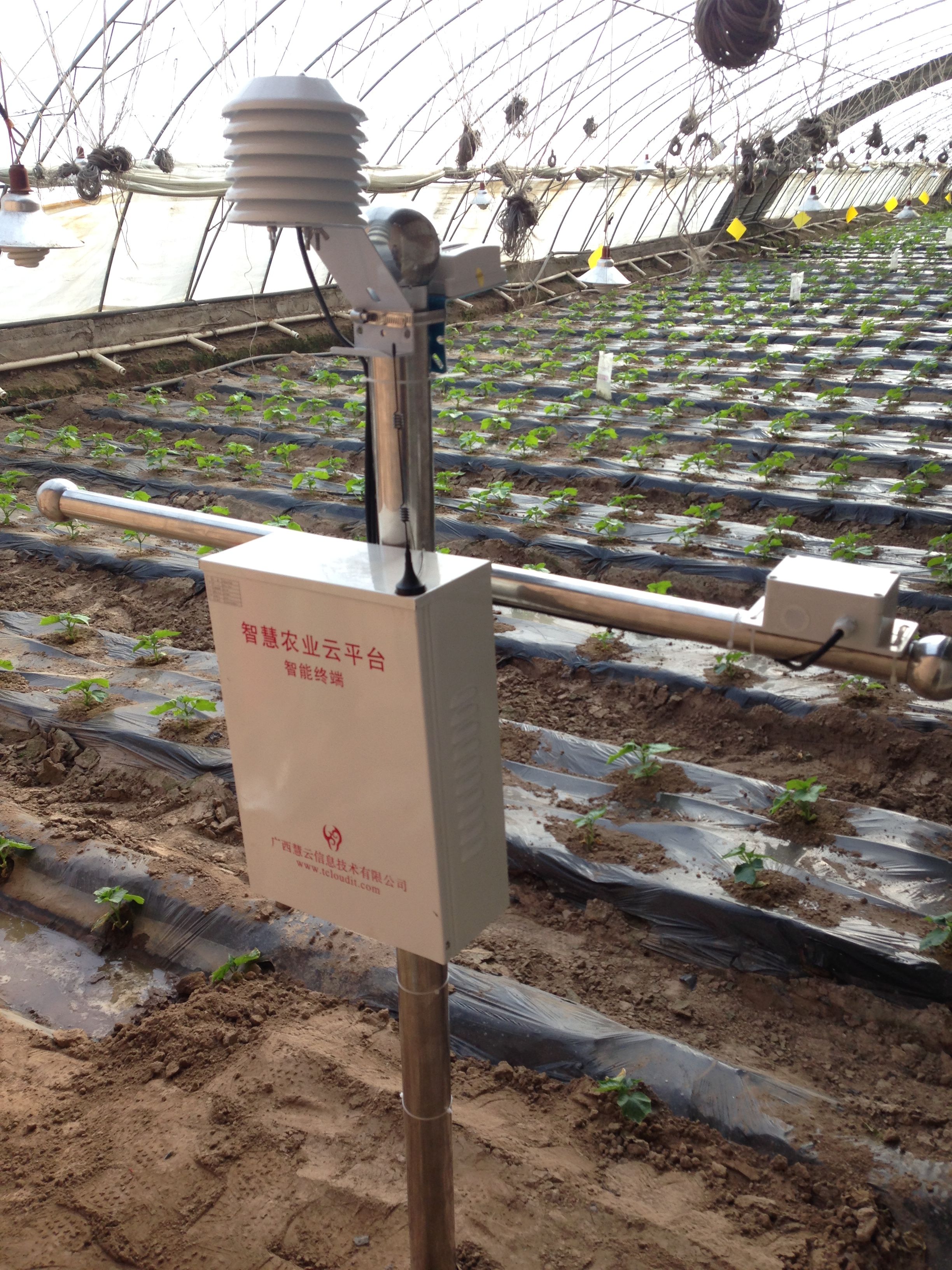 �ຣ��ͨ�h�ИI(y��)���F(xi��n)���r(n��ng)�I(y��)ʾ���@�������ǻ��r(n��ng)�I(y��)���F(xi��n)һ������