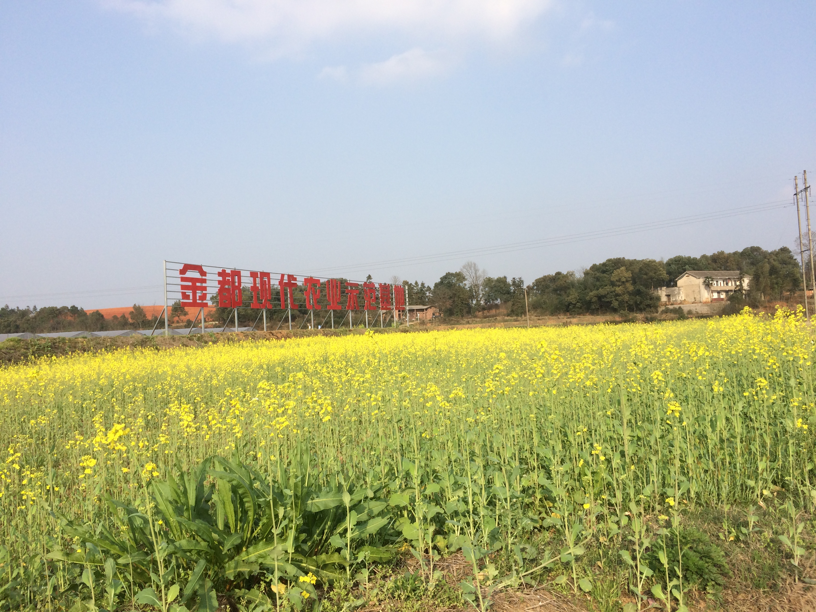 �𶼬F(xi��n)���r(n��ng)�I(y��)�ИI(y��)��(j��)�߲˘�(bi��o)��(zh��n)�@���ǻ��r(n��ng)�I(y��)ȫ�̰�ȫ��Դ