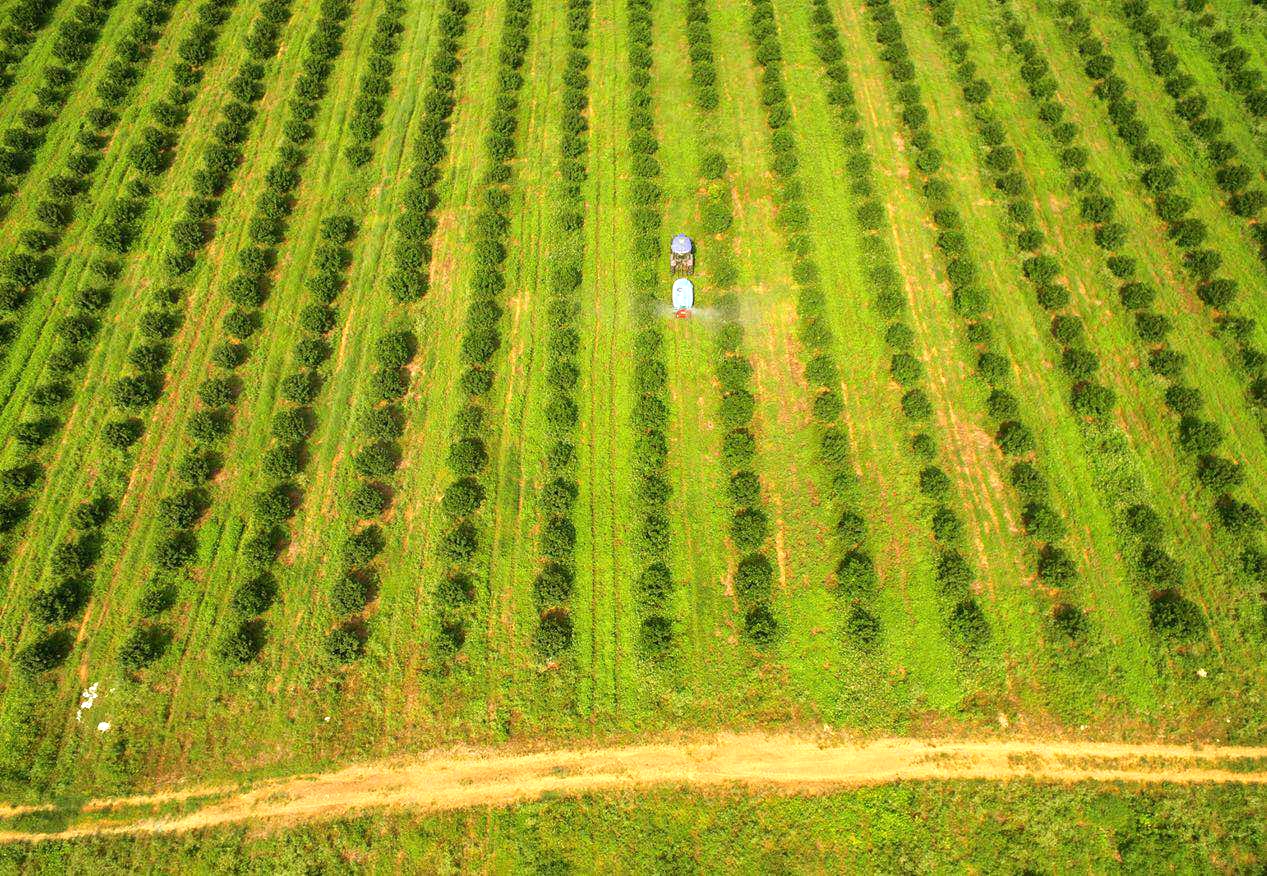 ʲô���ǻ��r�I(y��)��