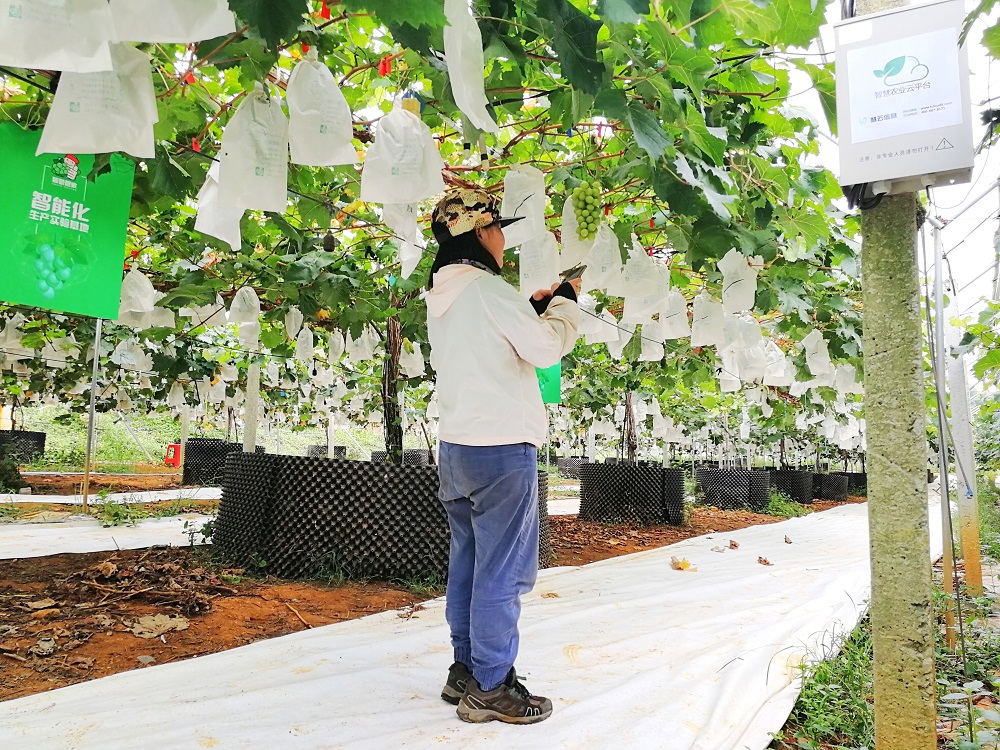 ʲô���ǻ��r�I(y��)�������읙�����ķ��ջ��سɹ�ʾ��