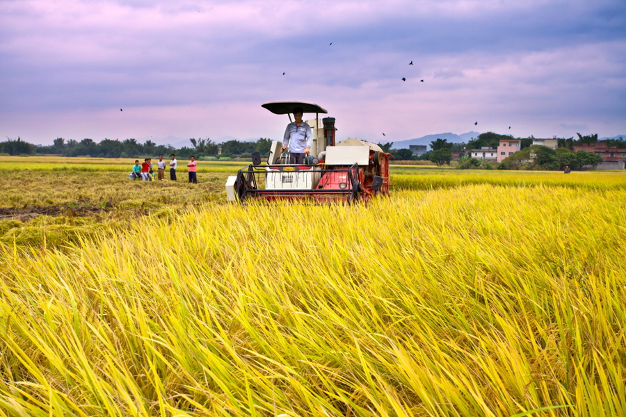 ʲô���ǻ��r�I(y��)�������읙�����ķ��ջ��سɹ�ʾ��