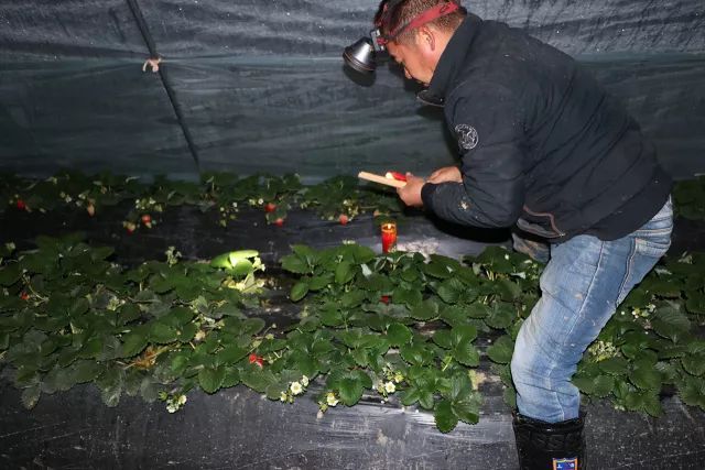 ����ʹ��ݮ���ֵ�c��������ı������ǈԶ����ƵĘ�(bi��o)��(zh��n)������