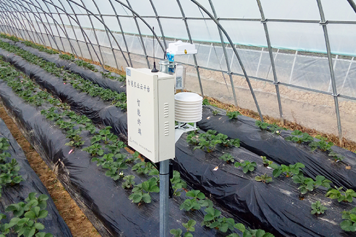 ����ʹ��ݮ���ֵ�c��������ı������ǈԶ����ƵĘ�(bi��o)��(zh��n)������