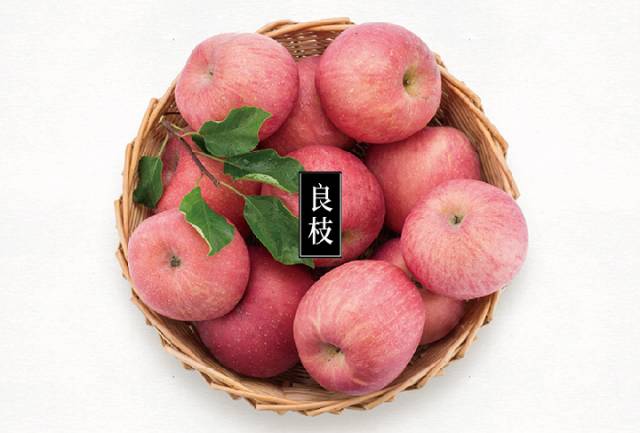 ����֦���O���ğ��N�������ǌ�(du��)�Nֲ�����(bi��o)��(zh��n)�����