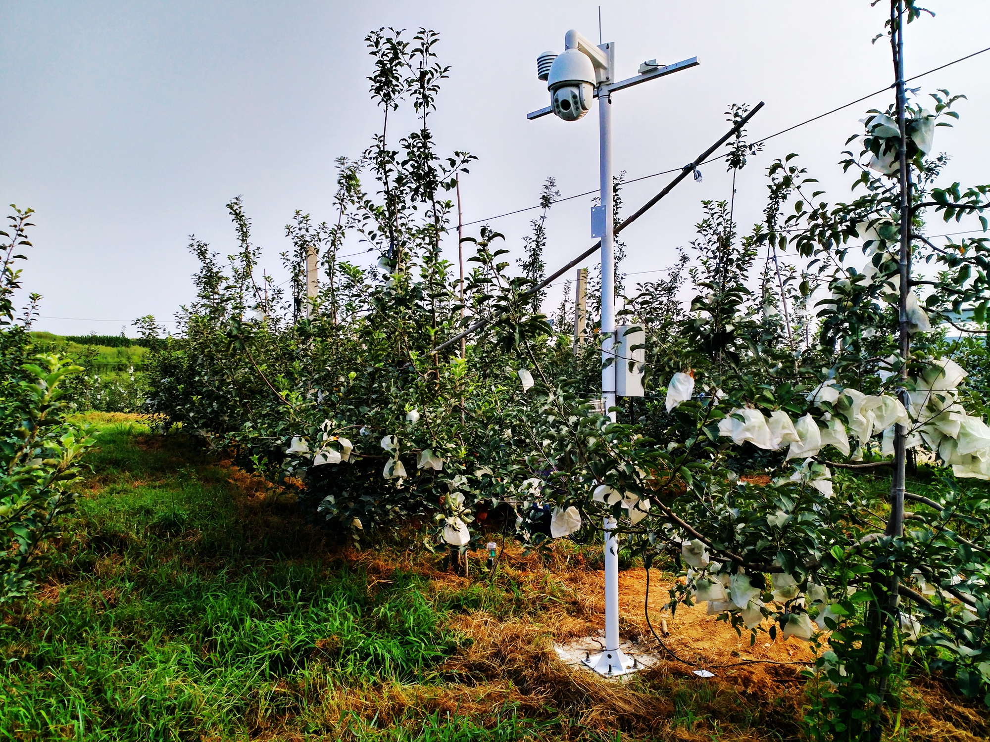 ��(y��u)��(li��n)���_(t��i)�O��