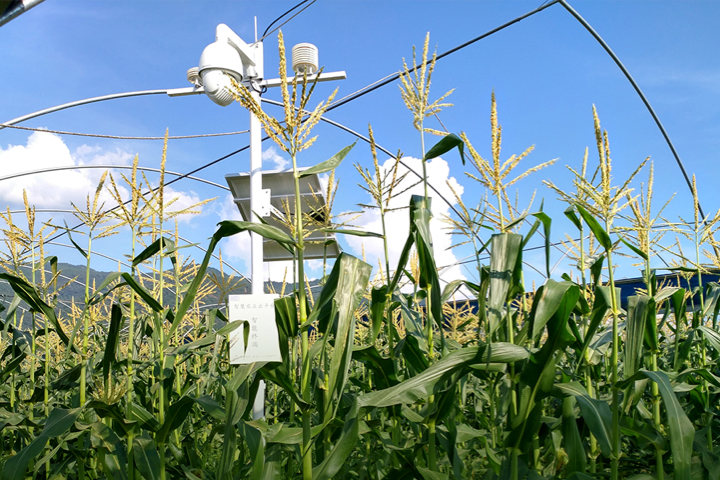 ��΢��ˮ�����ס����H��ζ�ٵĄ�(chu��ng)�������ǘ�(bi��o)��(zh��n)�Nֲ����������