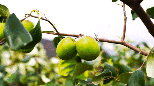 �@���B(y��ng)����ȫ�h����ġ�Ԫ�\���������������Ϙ˜ʻ��D(zhu��n)���¸�֮·