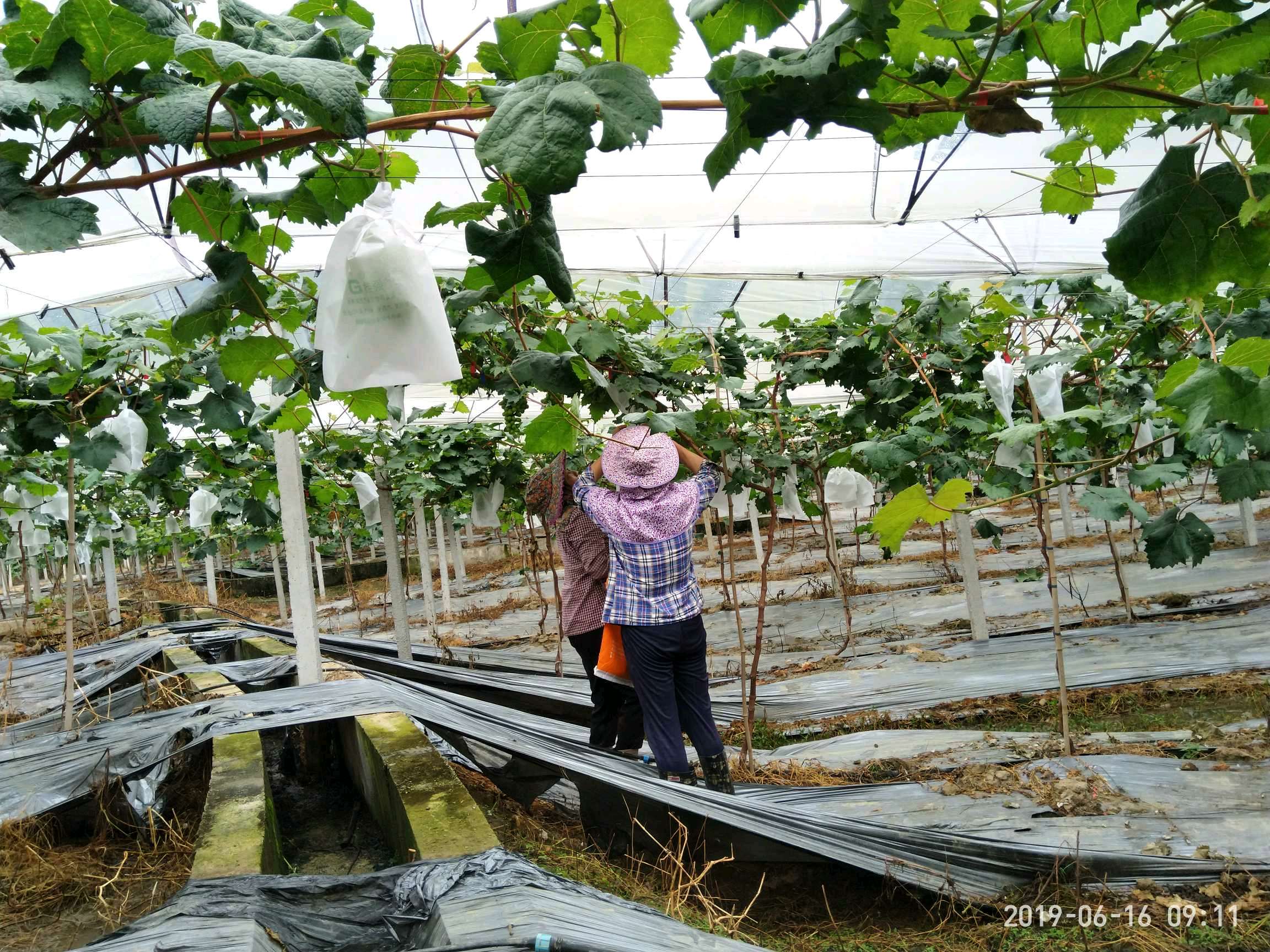 ���ݰ����(zh��n)���ш@�Ķ�λѲ�@���r(n��ng)��ӛ�