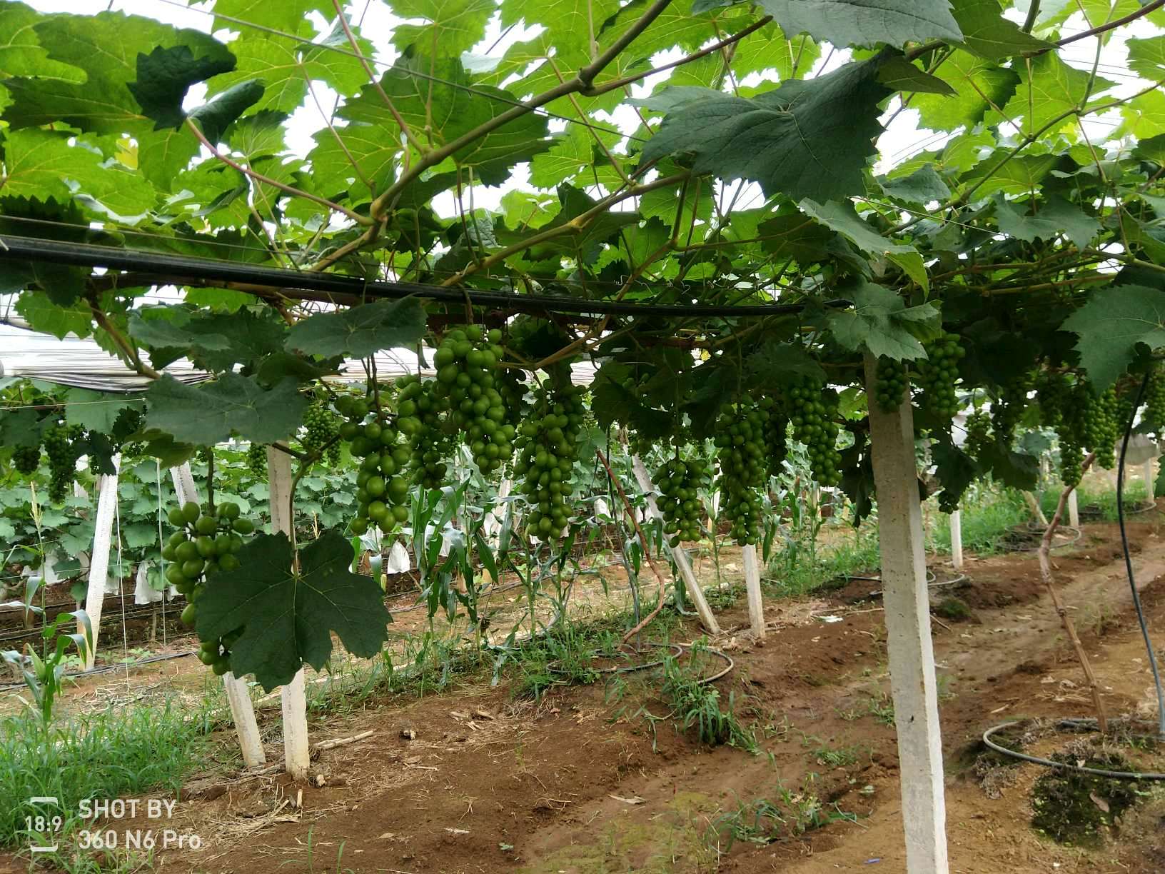 ���ݰ����(zh��n)���ш@�Ķ�λѲ�@���r(n��ng)��ӛ�